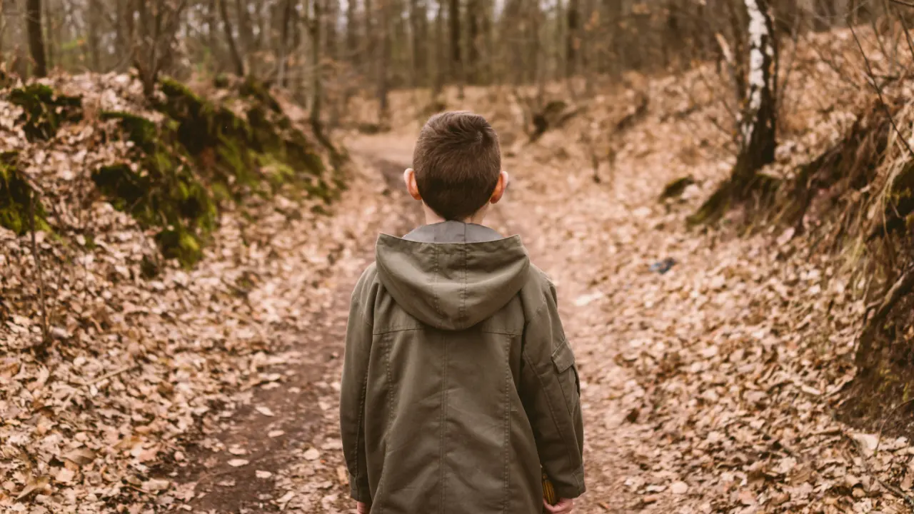 A young boy in a green jacket standing on a forest path covered with dry leaves, facing away, surrounded by bare trees and mossy ground.