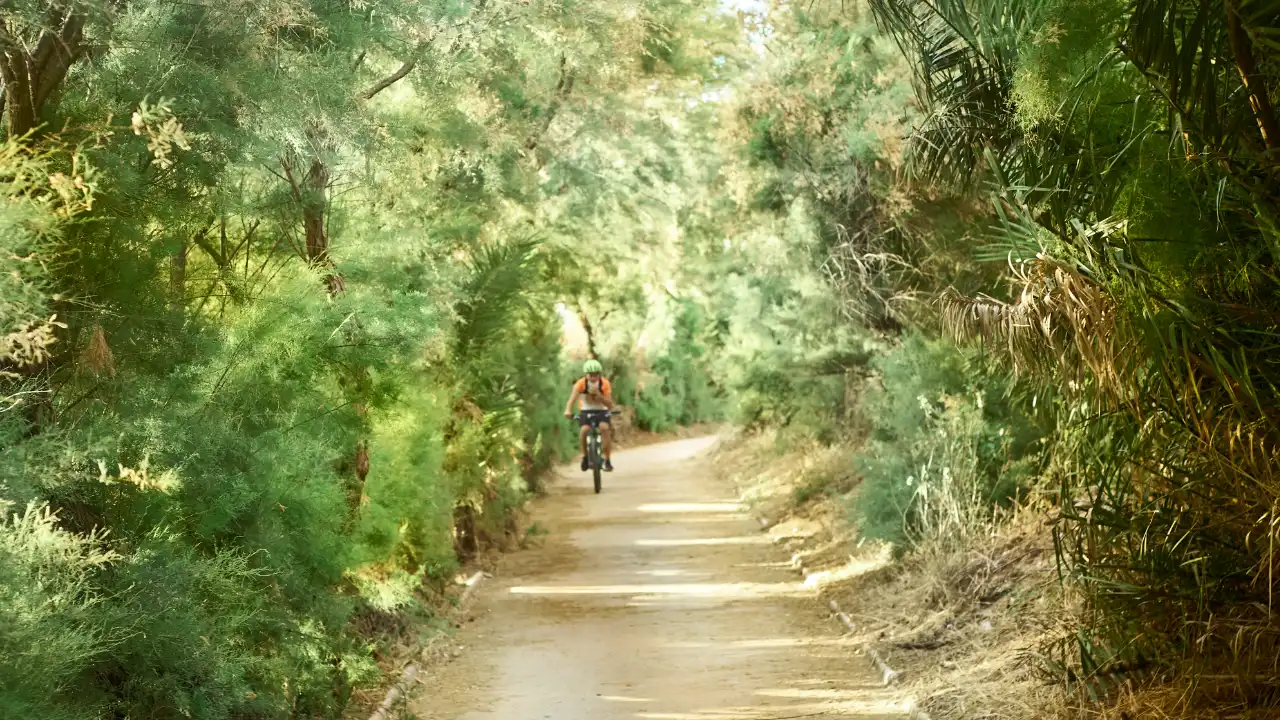 A person riding a bicycle on a sunlit dirt path surrounded by dense, green foliage and trees, creating a serene nature setting.